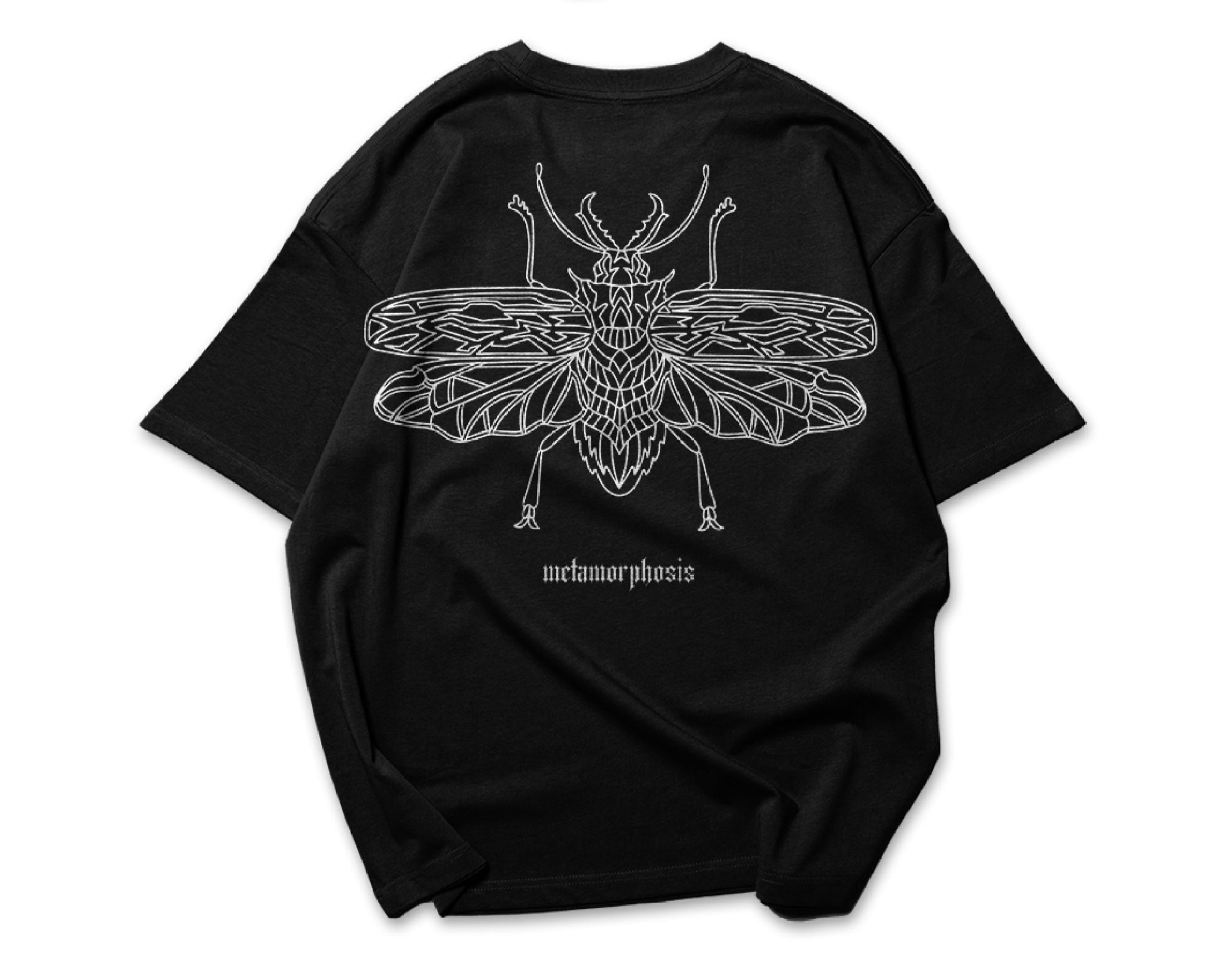 Metamorphosis